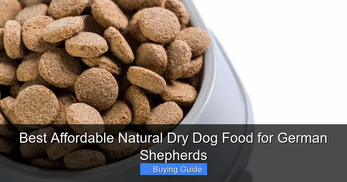 Best Affordable Natural Dry Dog Food for German Shepherds