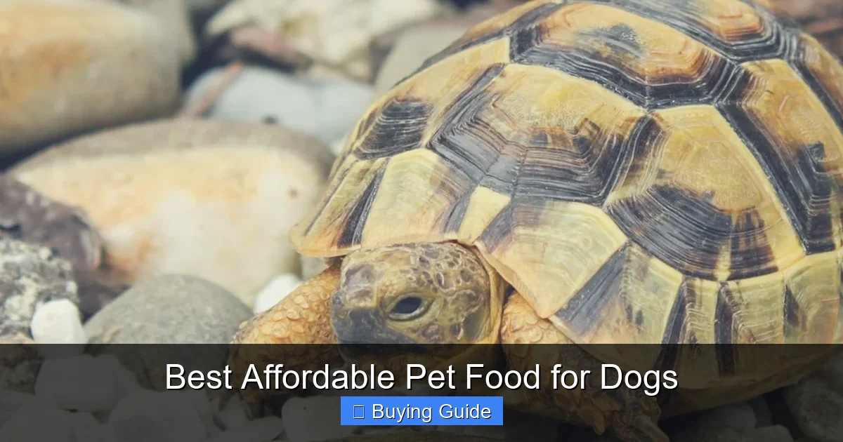 Best Affordable Pet Food for Dogs