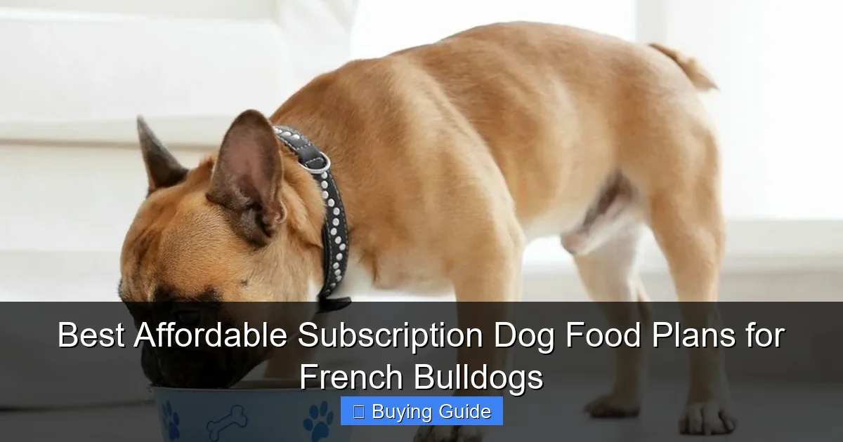 Best Affordable Subscription Dog Food Plans for French Bulldogs