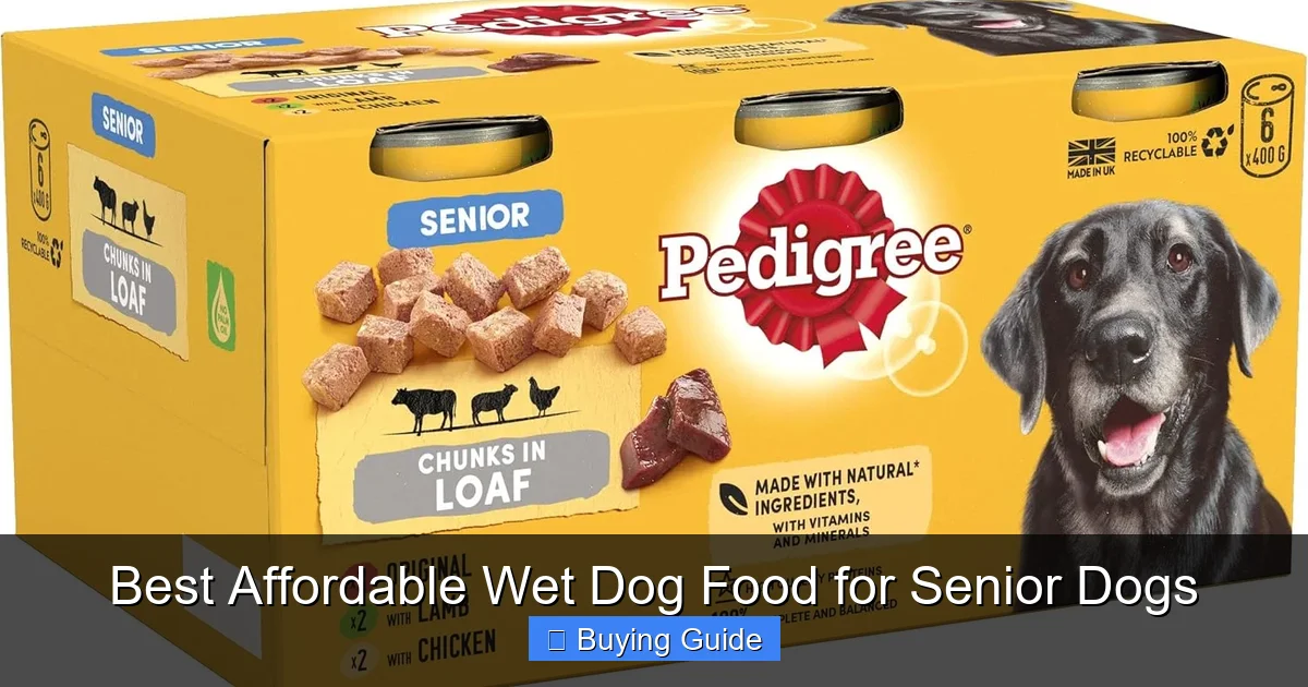 Best Affordable Wet Dog Food for Senior Dogs