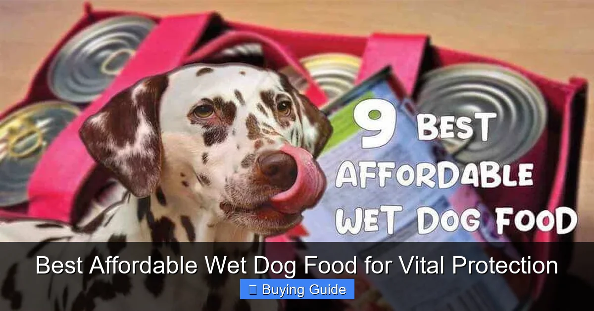 Best Affordable Wet Dog Food for Vital Protection