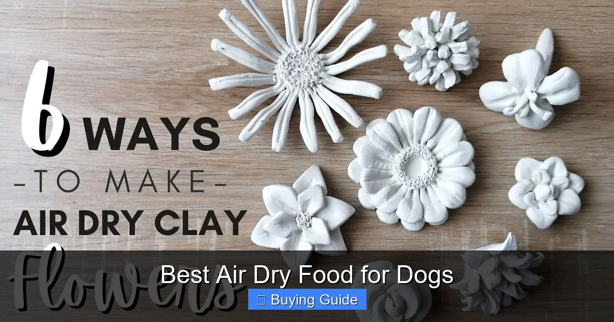 Best Air Dry Food for Dogs