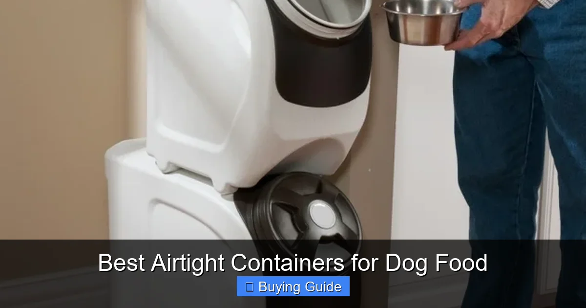 Best Airtight Containers for Dog Food