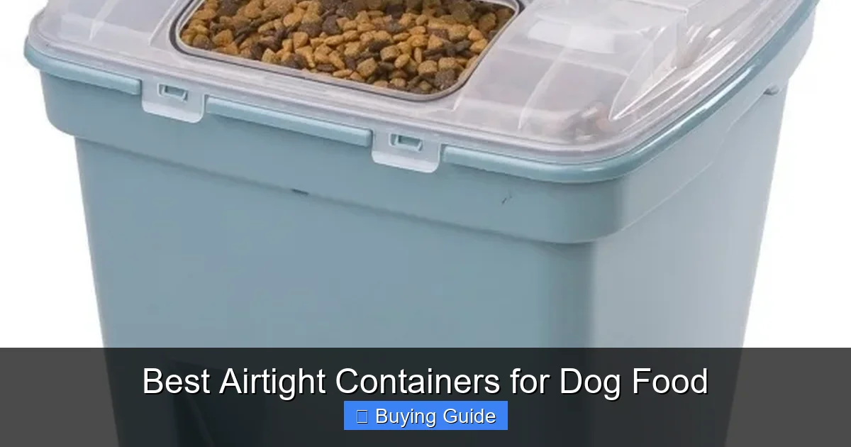 Best Airtight Containers for Dog Food