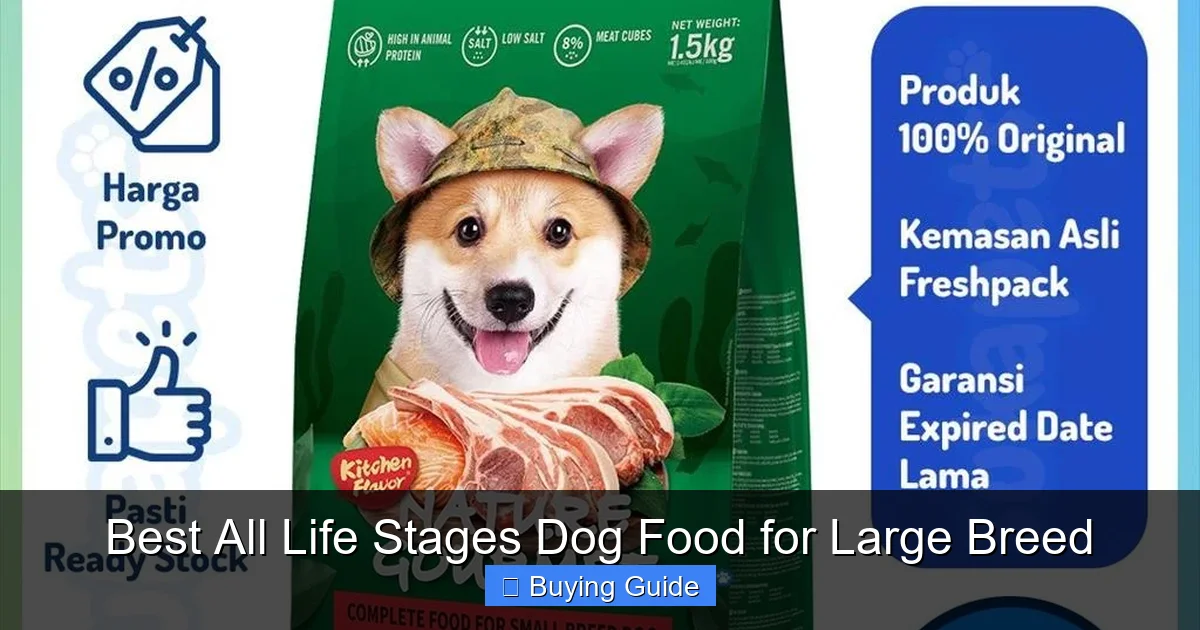 Best All Life Stages Dog Food for Large Breed