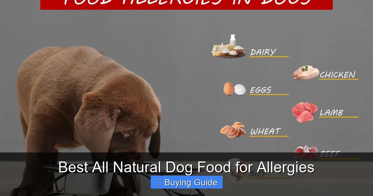 Best All Natural Dog Food for Allergies