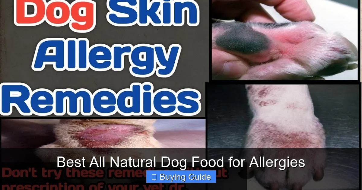 Best All Natural Dog Food for Allergies