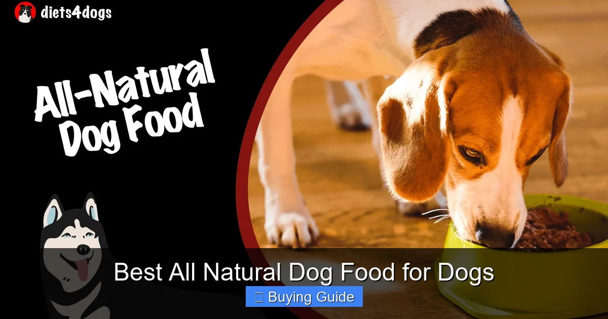 Best All Natural Dog Food for Dogs