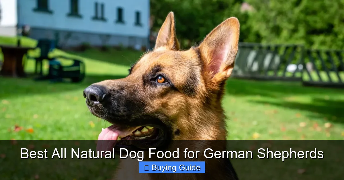 Best All Natural Dog Food for German Shepherds