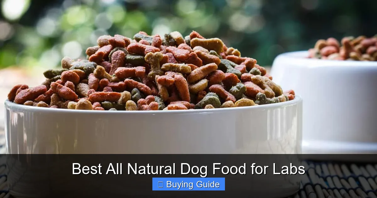 Best All Natural Dog Food for Labs