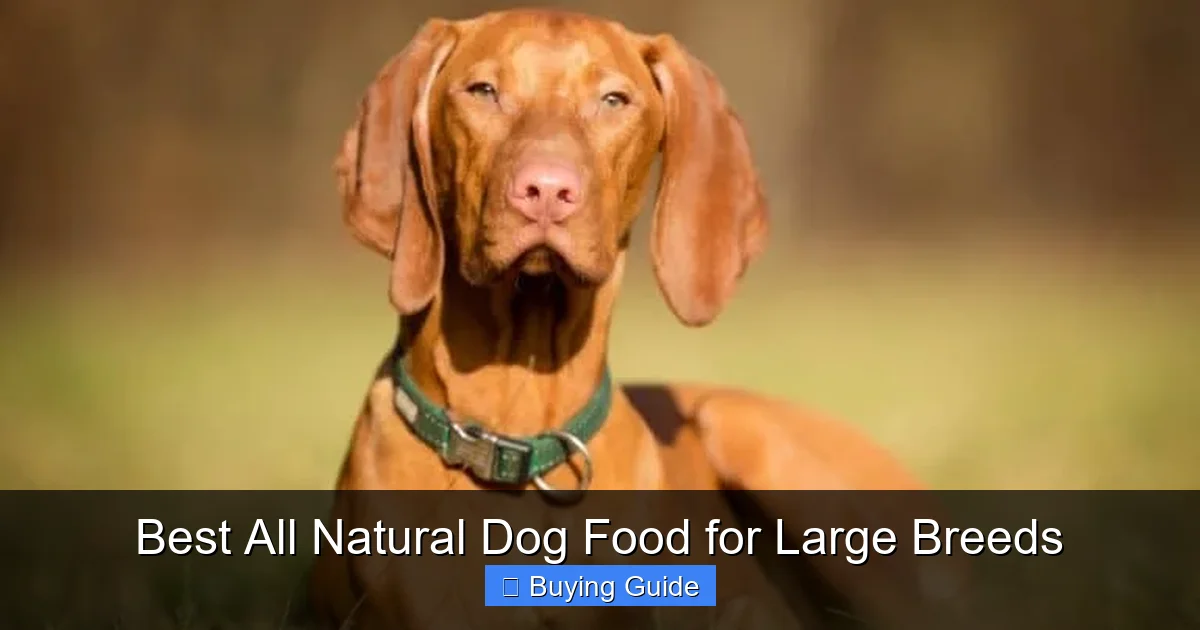 Best All Natural Dog Food for Large Breeds