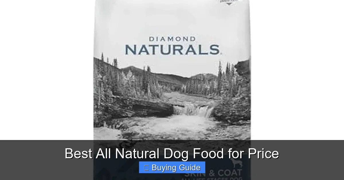 Best All Natural Dog Food for Price
