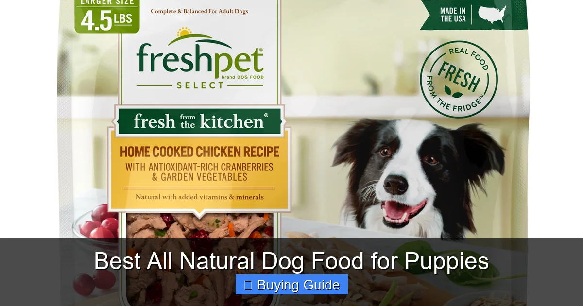 Best All Natural Dog Food for Puppies
