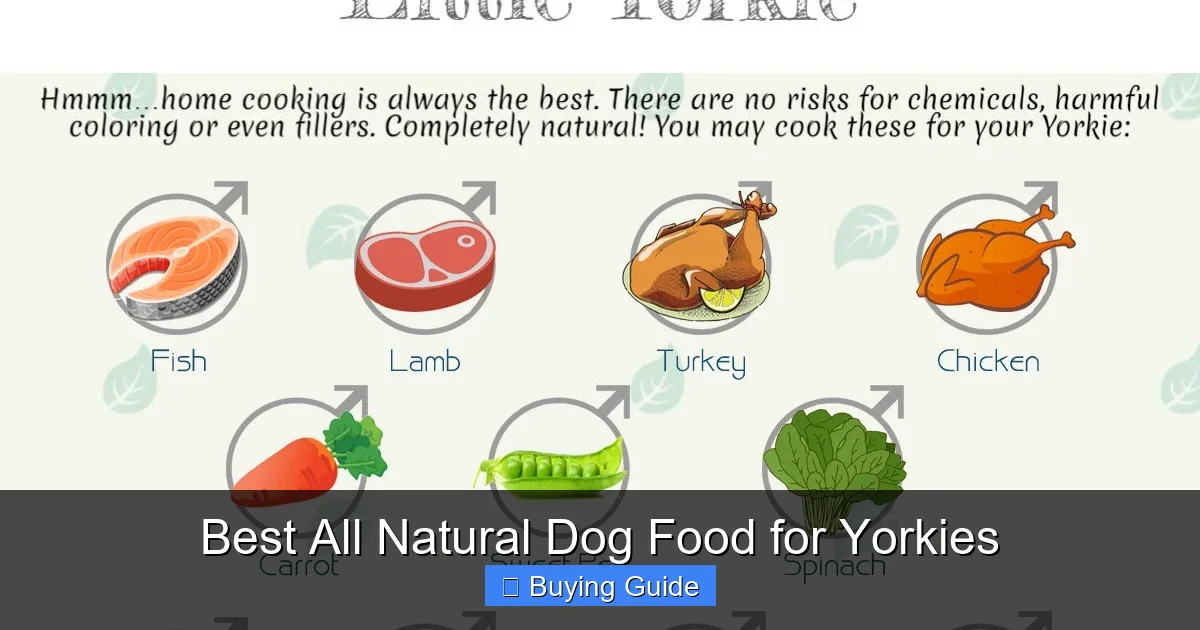 Best All Natural Dog Food for Yorkies