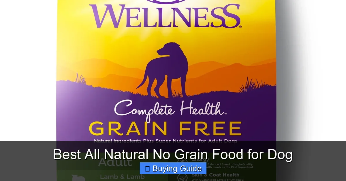 Best All Natural No Grain Food for Dog