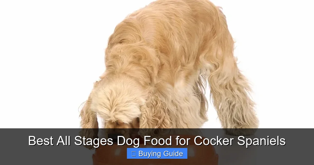 Best All Stages Dog Food for Cocker Spaniels