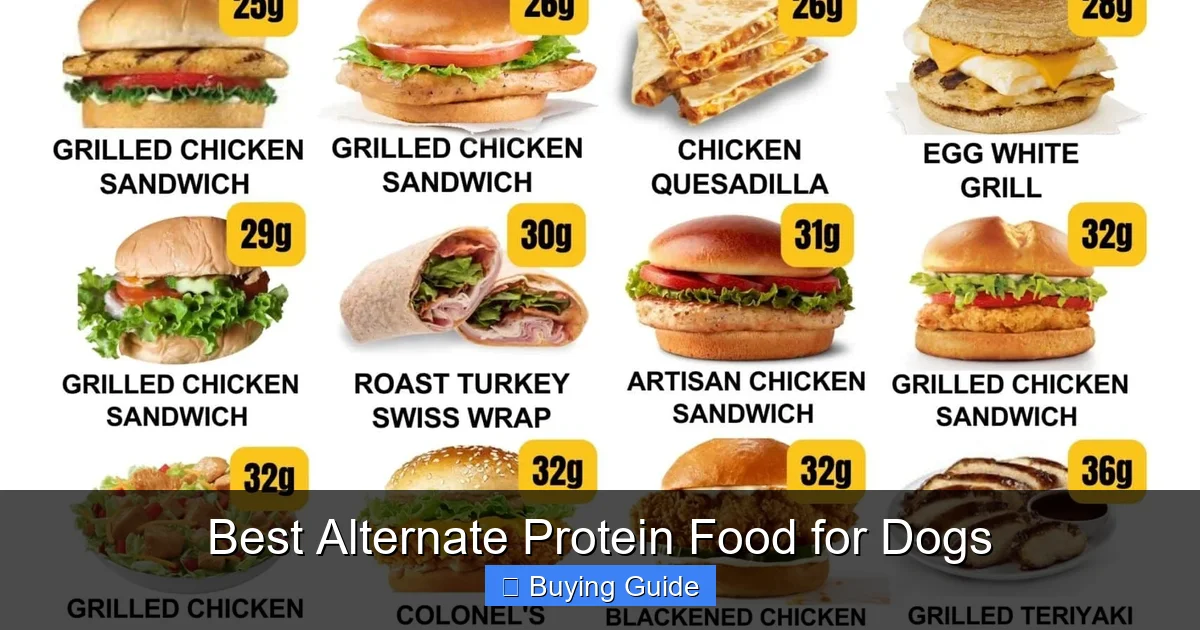 Best Alternate Protein Food for Dogs