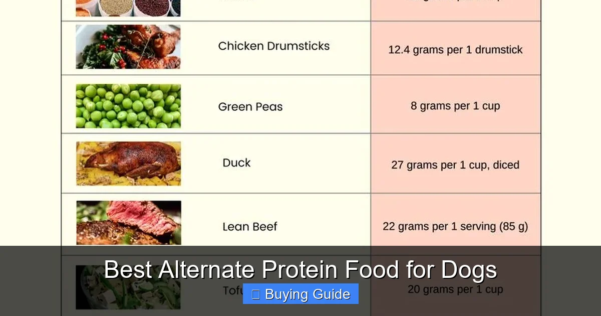 Best Alternate Protein Food for Dogs