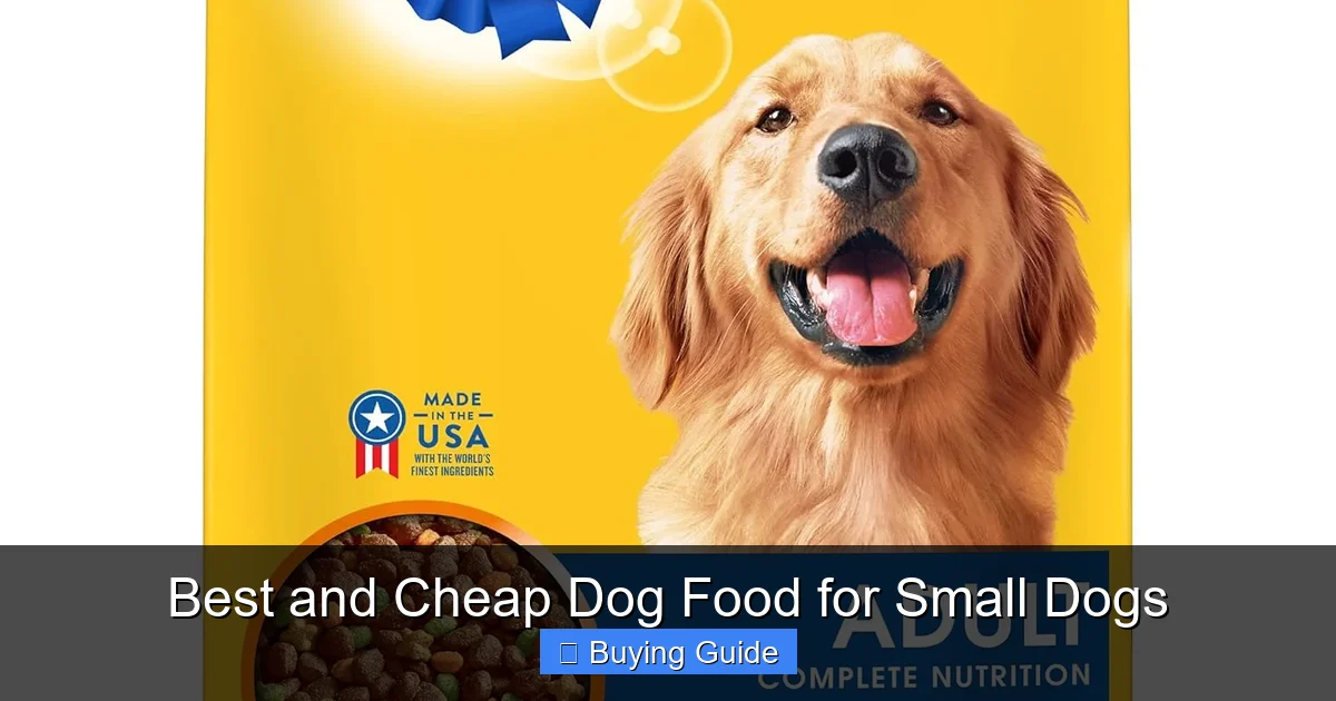 Best and Cheap Dog Food for Small Dogs