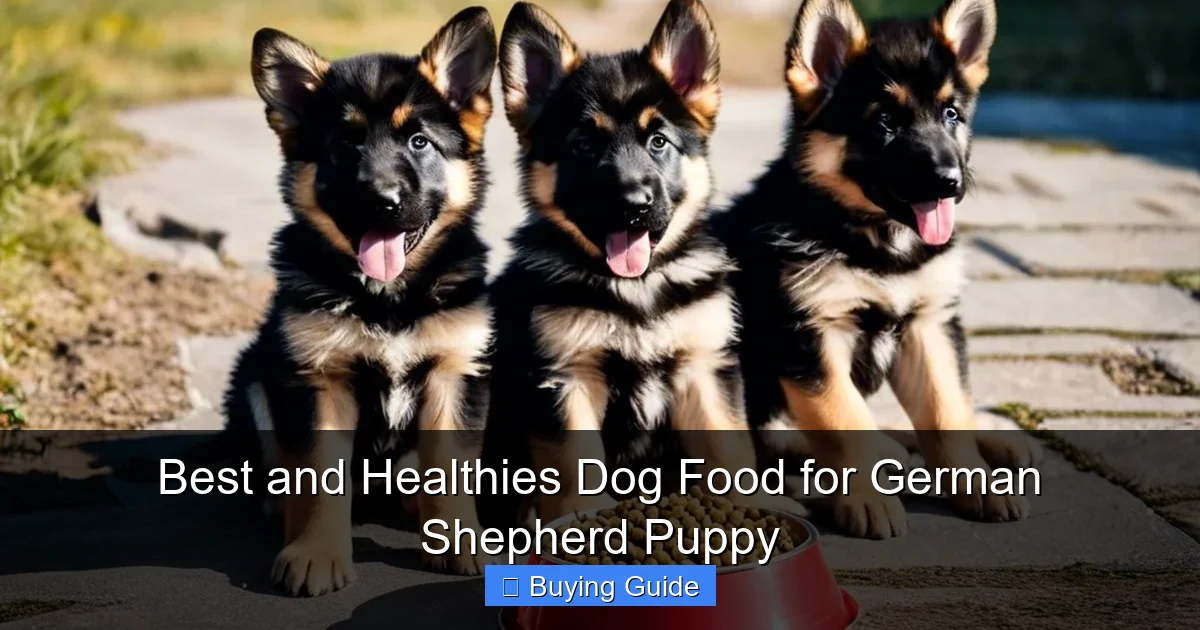 Best and Healthies Dog Food for German Shepherd Puppy