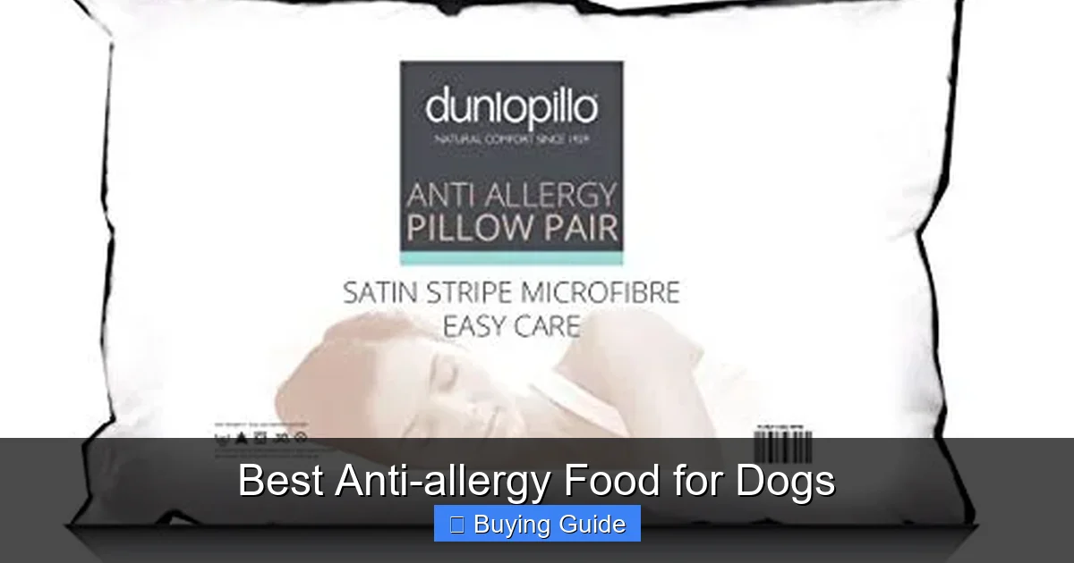 Best Anti-allergy Food for Dogs