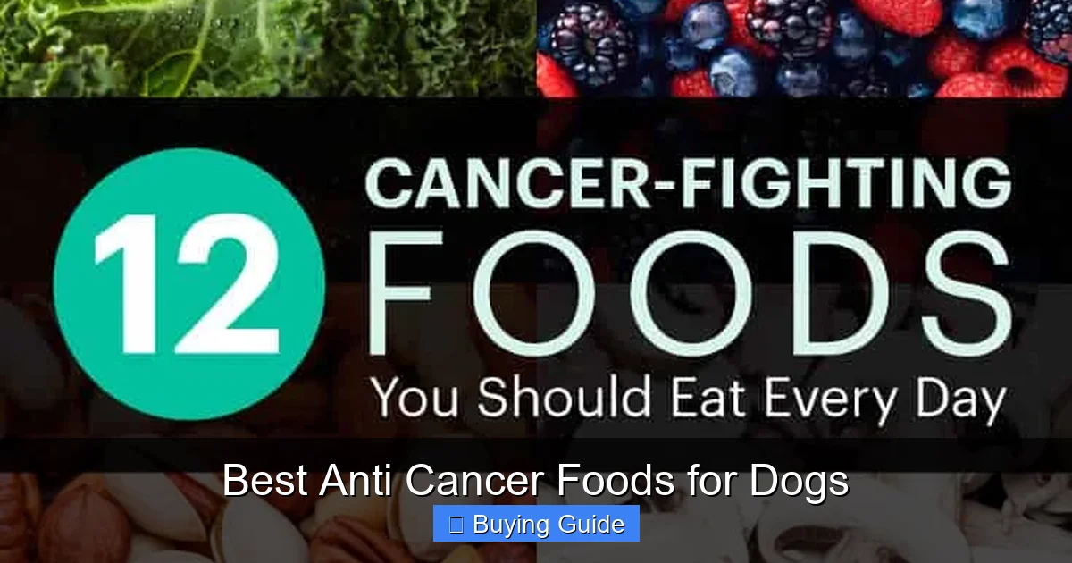 Best Anti Cancer Foods for Dogs