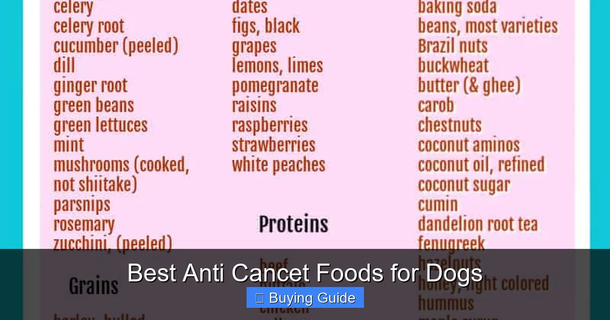 Best Anti Cancet Foods for Dogs