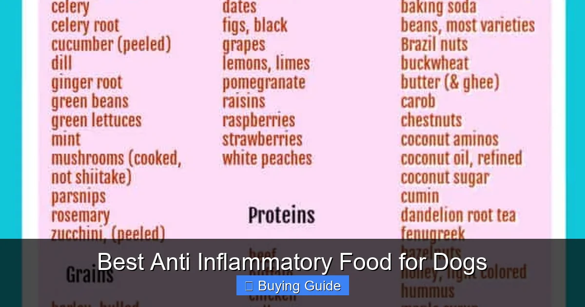 Best Anti Inflammatory Food for Dogs