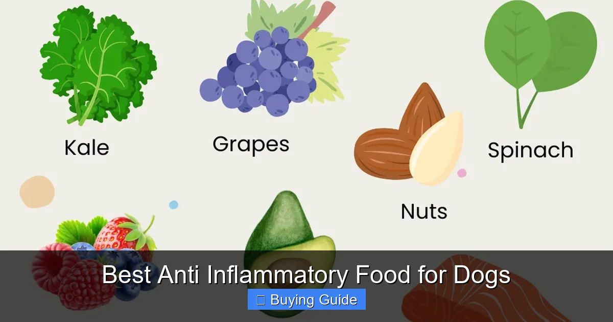 Best Anti Inflammatory Food for Dogs
