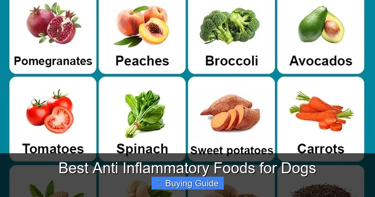 Best Anti Inflammatory Foods for Dogs