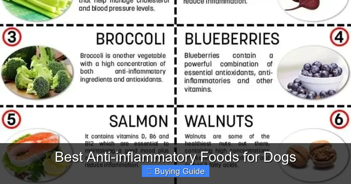 Best Anti-inflammatory Foods for Dogs