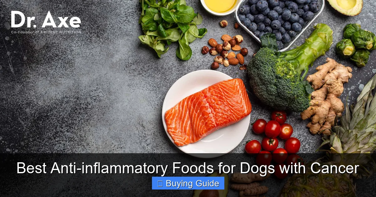 Best Anti-inflammatory Foods for Dogs with Cancer