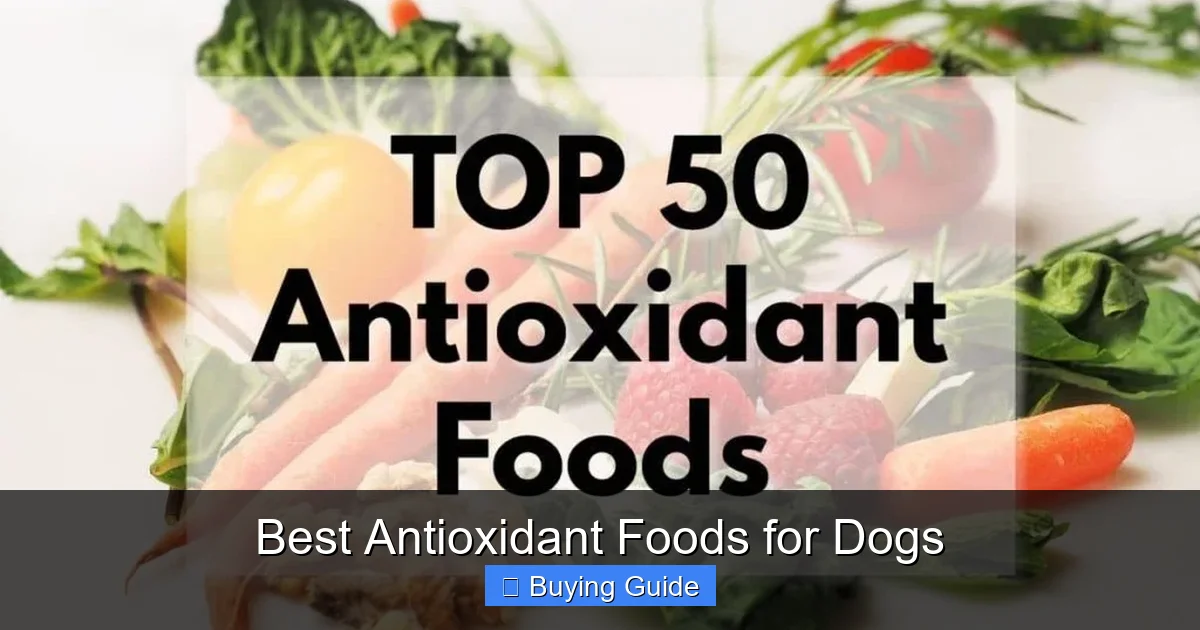 Best Antioxidant Foods for Dogs