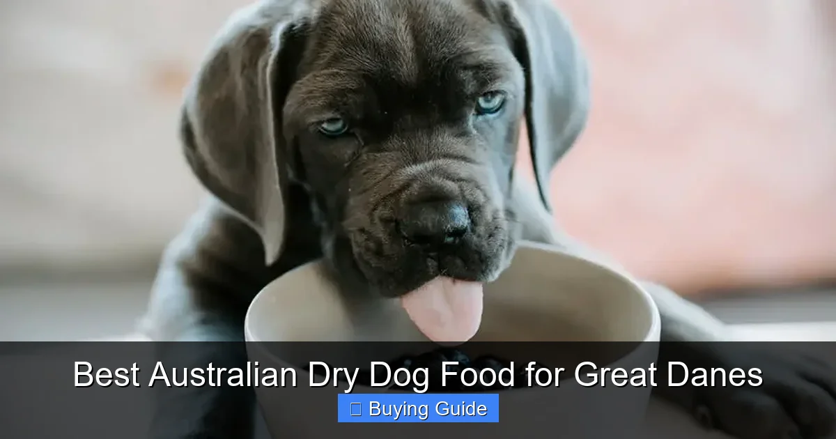 Best Australian Dry Dog Food for Great Danes