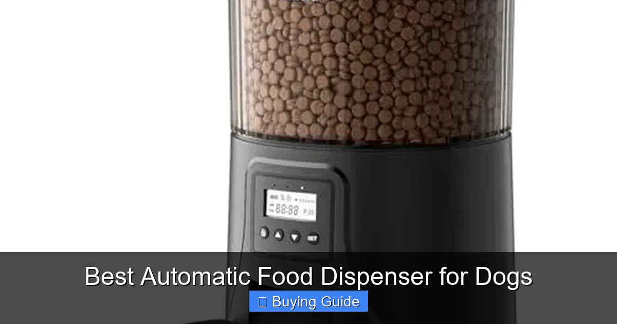Best Automatic Food Dispenser for Dogs