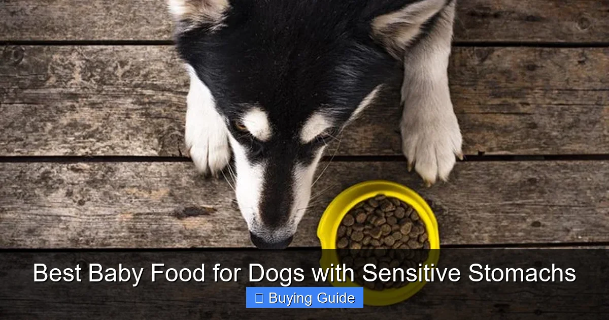 Best Baby Food for Dogs with Sensitive Stomachs