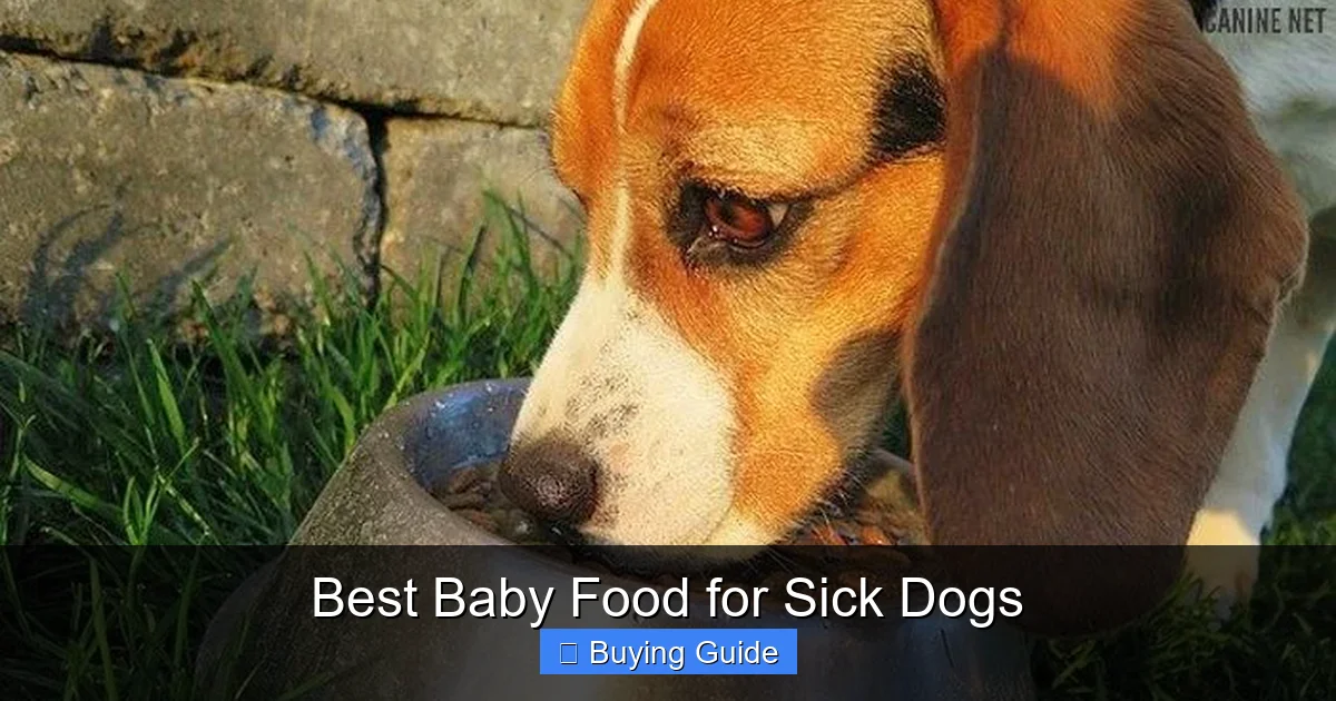 Best Baby Food for Sick Dogs