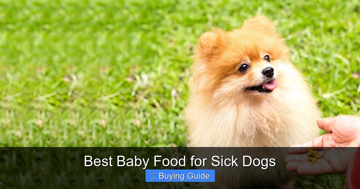 Best Baby Food for Sick Dogs