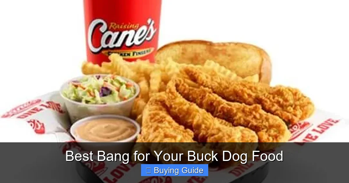 Best Bang for Your Buck Dog Food