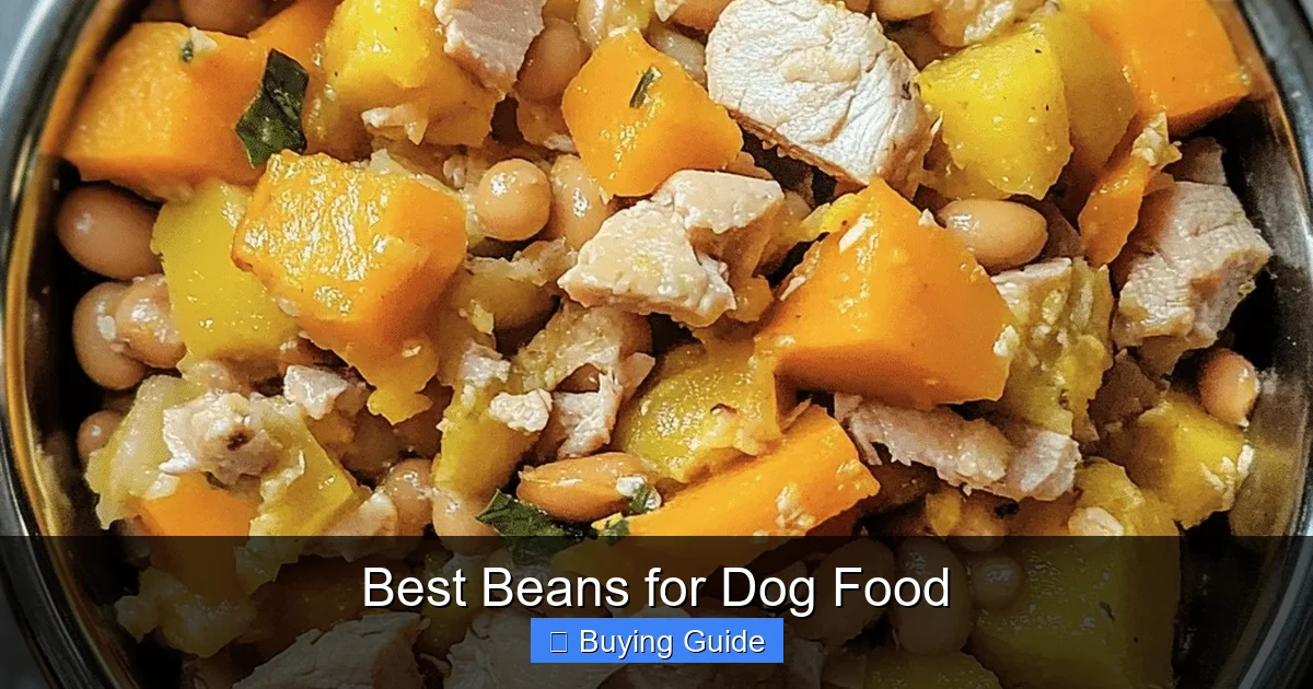 Best Beans for Dog Food