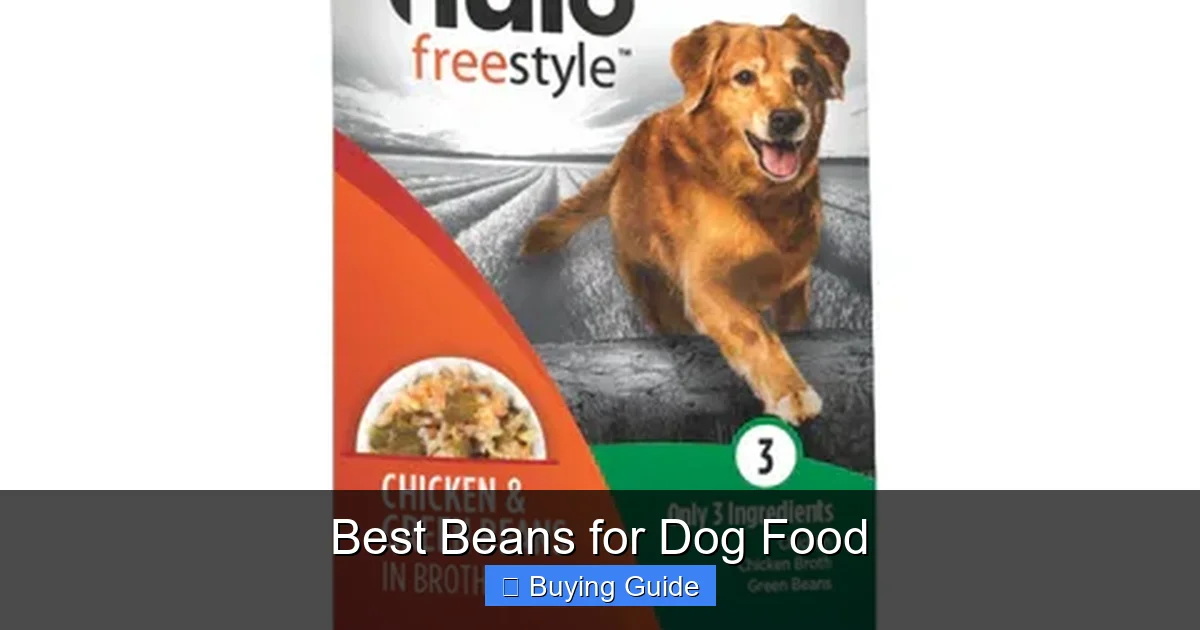 Best Beans for Dog Food