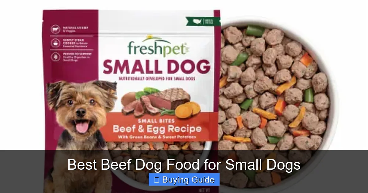 Best Beef Dog Food for Small Dogs