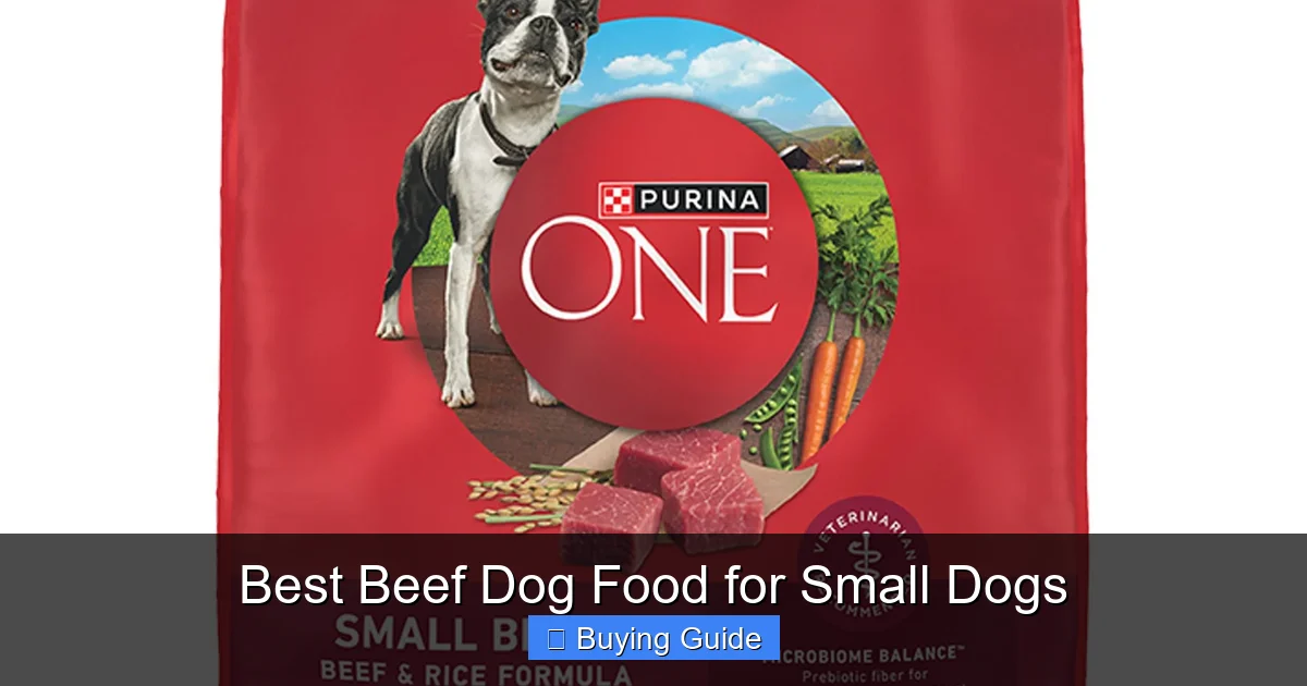 Best Beef Dog Food for Small Dogs