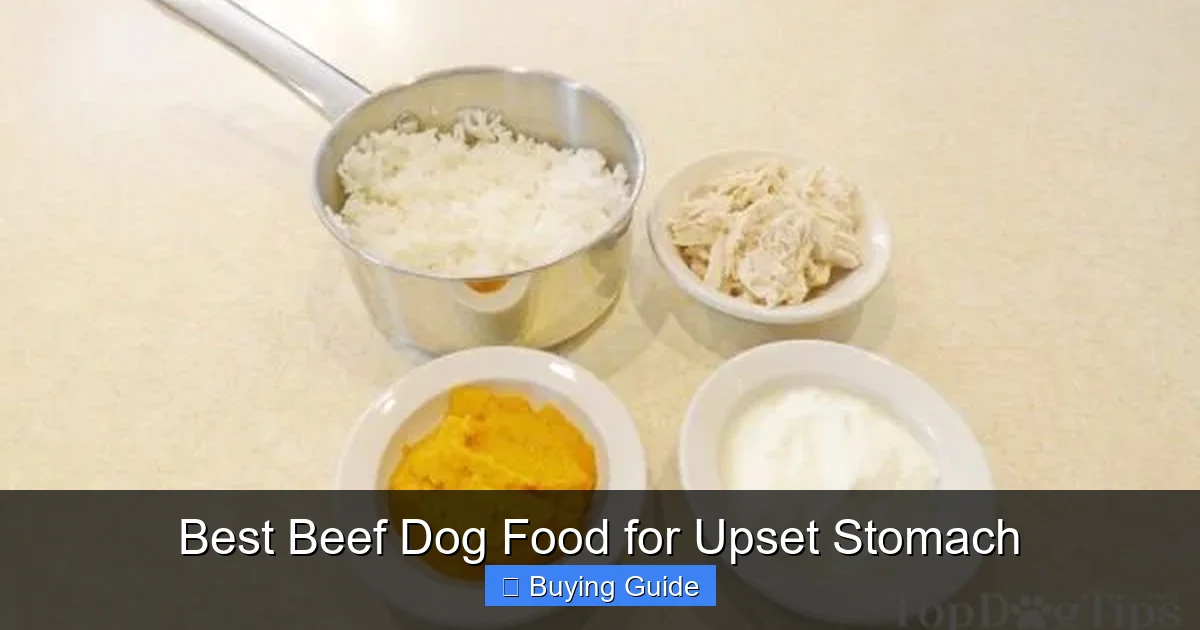 Best Beef Dog Food for Upset Stomach