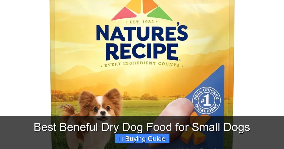 Best Beneful Dry Dog Food for Small Dogs