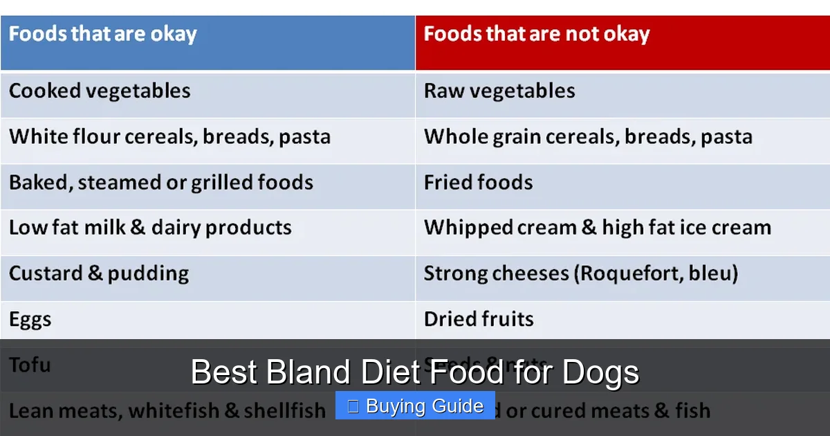 Best Bland Diet Food for Dogs