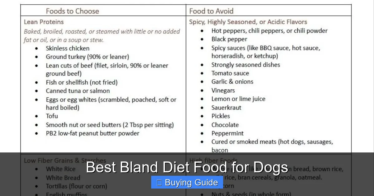 Best Bland Diet Food for Dogs