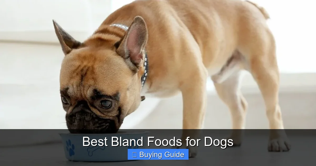 Best Bland Foods for Dogs