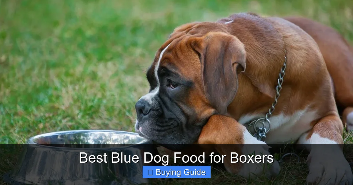 Best Blue Dog Food for Boxers