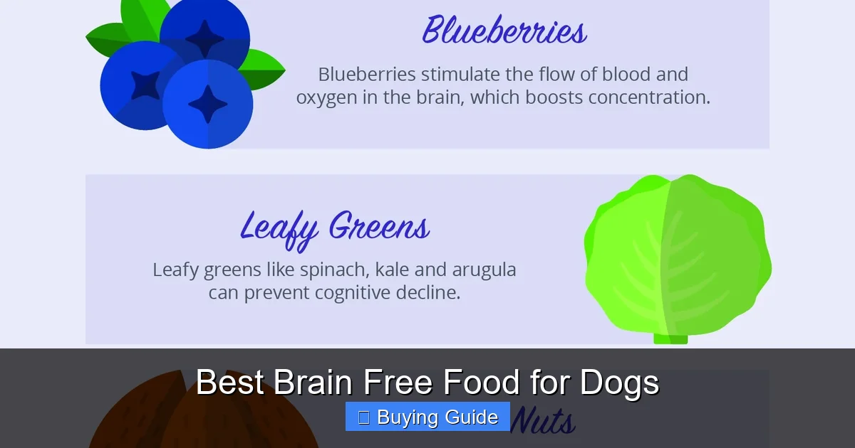 Best Brain Free Food for Dogs